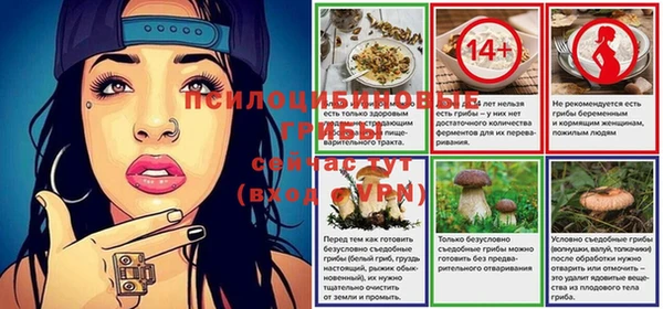 гашик Абинск