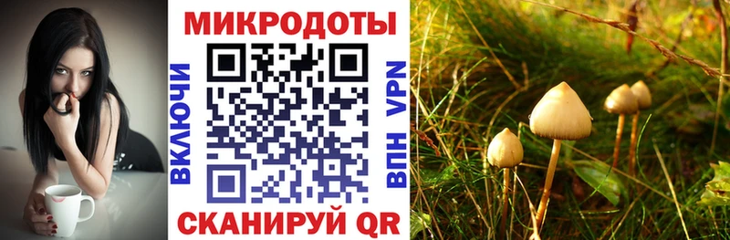 Галлюциногенные грибы Psilocybe  kraken сайт  Ясный  купить наркоту 